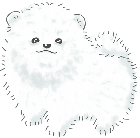 pomeranian dog cartoon cute.